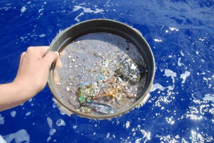 微塑料丰度监测